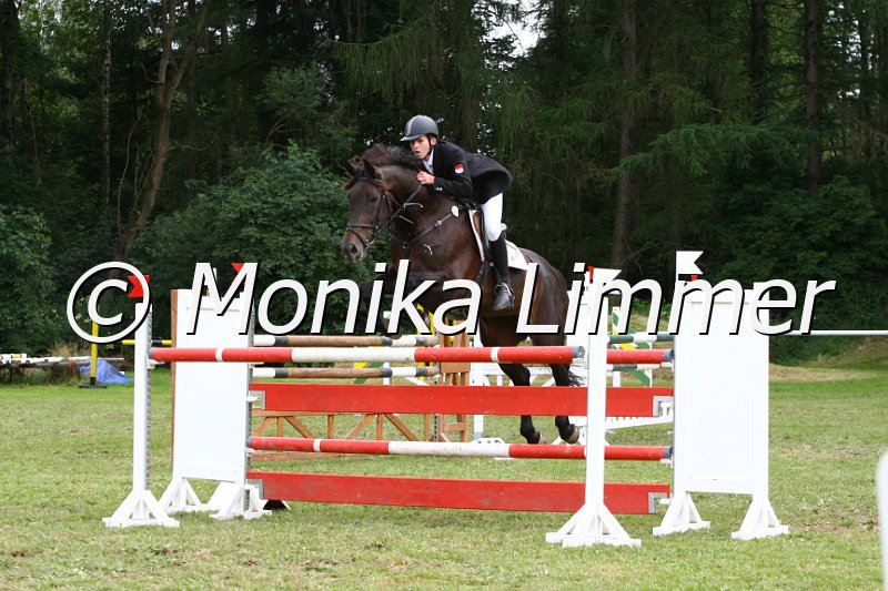 007M9615_Spring M x.JPG